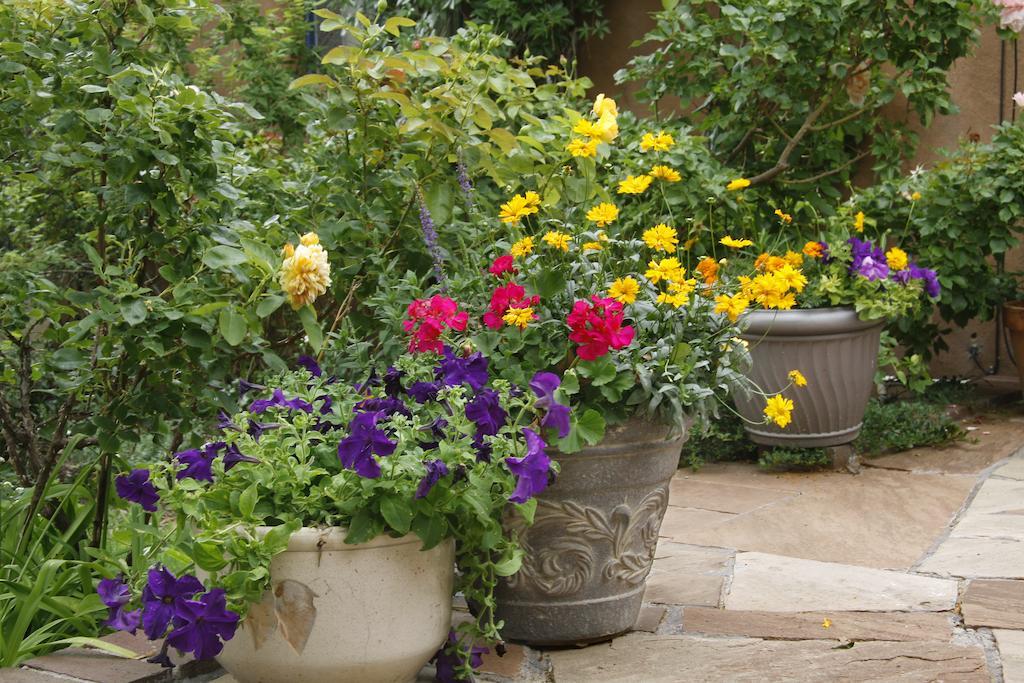 Hacienda Nicholas Bed&Breakfast Santa Fe Zimmer foto